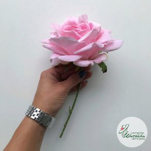 Высокая ярко-розовая роза