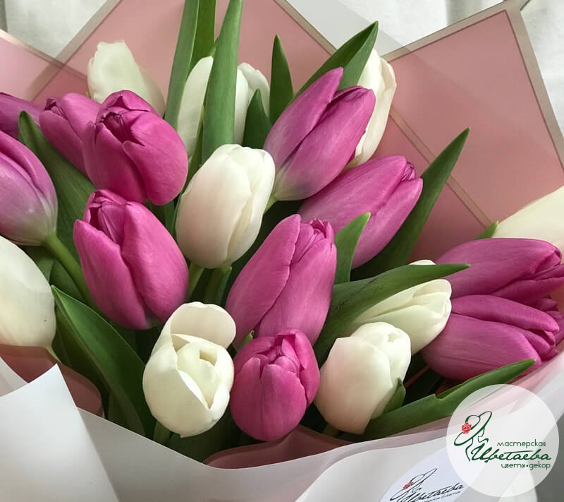 Букет из 25 белых и розовых тюльпанов