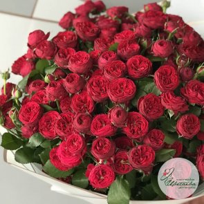 Большая букет из 25 кустовых роз