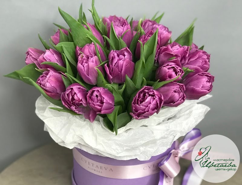 Шляпная коробка из фиолетовых пионовидных тюльпанов