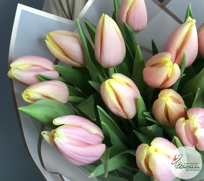 Букет из розово-желтых тюльпанов Манго Шарм