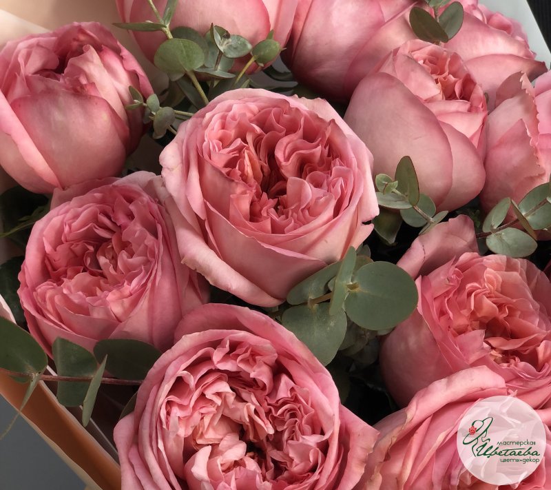 Нежный букет из 15 пионовидных роз с эвкалиптом