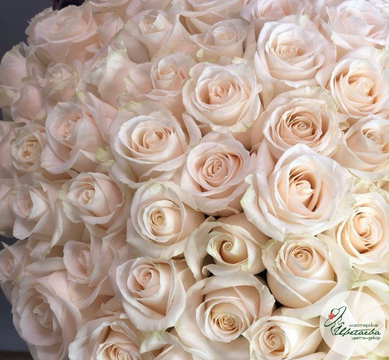 Букет из 101 белой розы под ленту