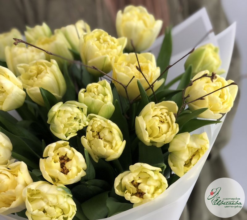 Букет из 25 желтых пионовидных тюльпанов