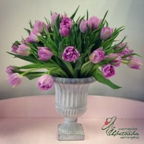Тюльпаны в вазоне