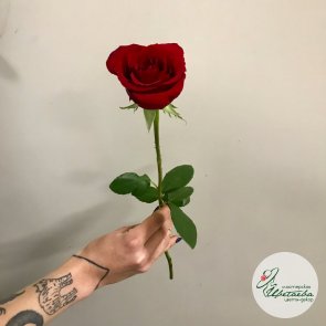 Кенийская роза 40 см